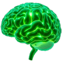 Brain Activity Tracking