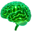 Brain Activity Measurements